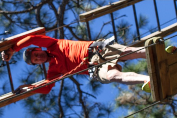 treetop trek rivington